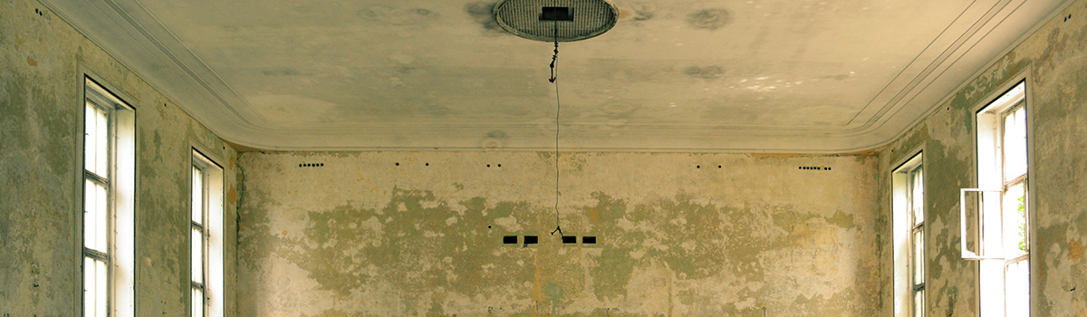 alte Wand